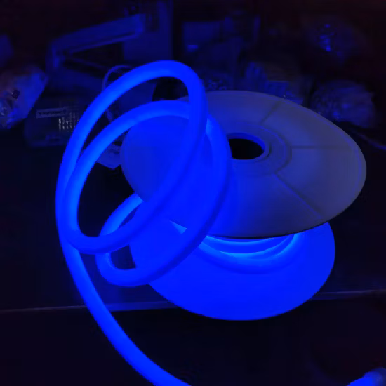 Bulkbuy 화려한 크리스마스 장식 휴일 AC110V 220V 테이프 로프 고전압 빛 RGB 네온 LED 스트립 빛